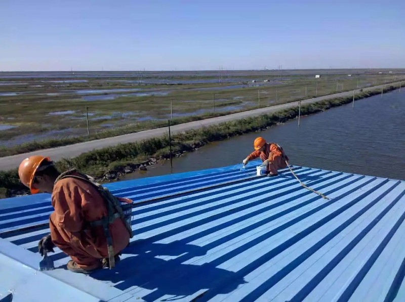 菏泽彩钢瓦屋面防腐翻新